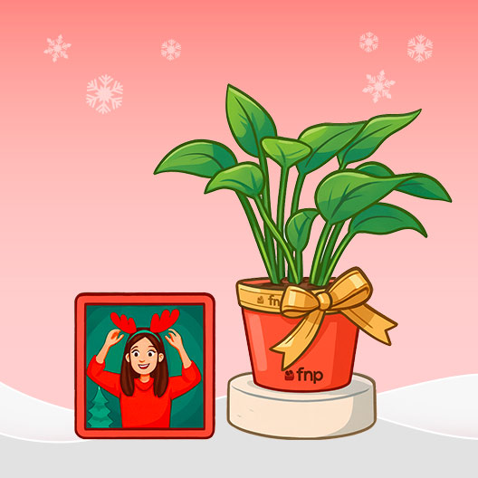 Gift Sets
