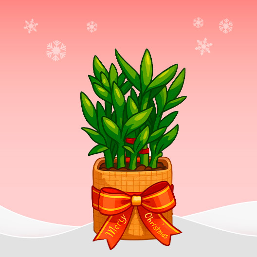 Plants