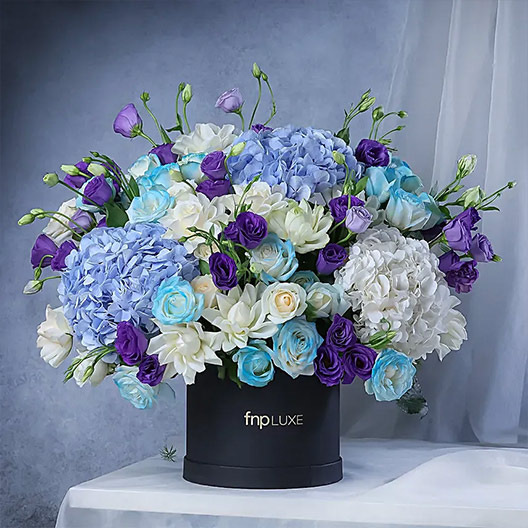 For Him