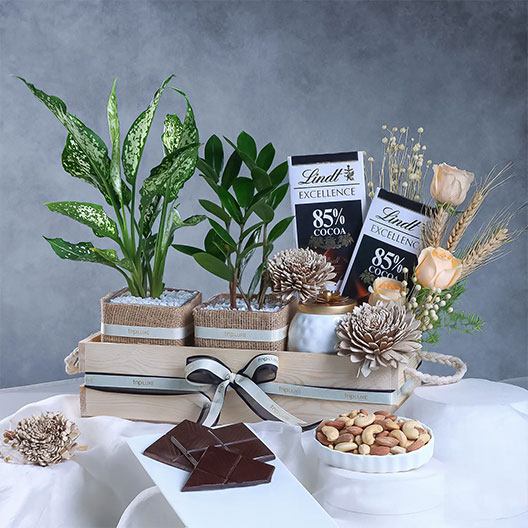 Lindt Chocolates