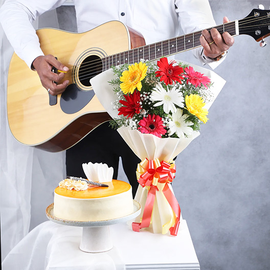 Guitarist Services