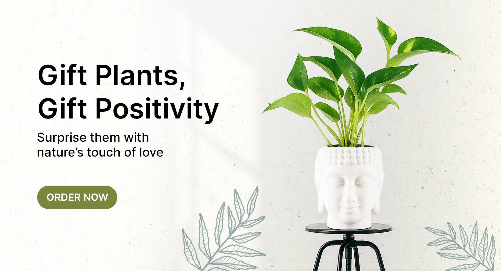 Plants