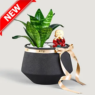 Navratri Gifts