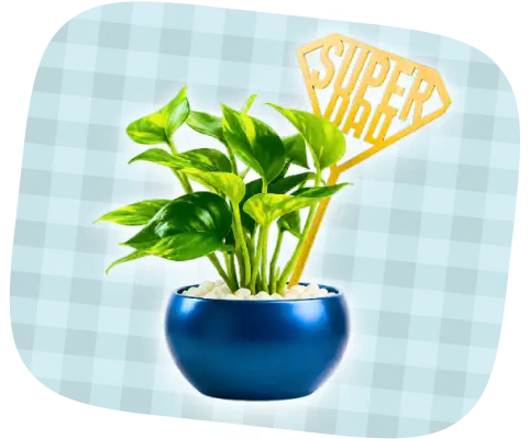 Plants