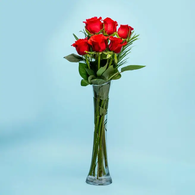 Red Rose Vase australia | Gift Red Rose Vase- FNP