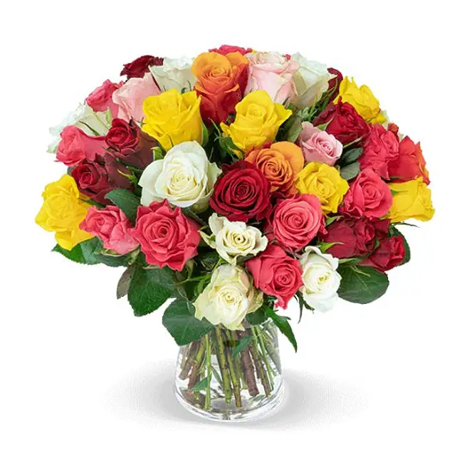 Bunch Of 40 Mixed Roses germany | Gift Bunch Of 40 Mixed Roses- FNP