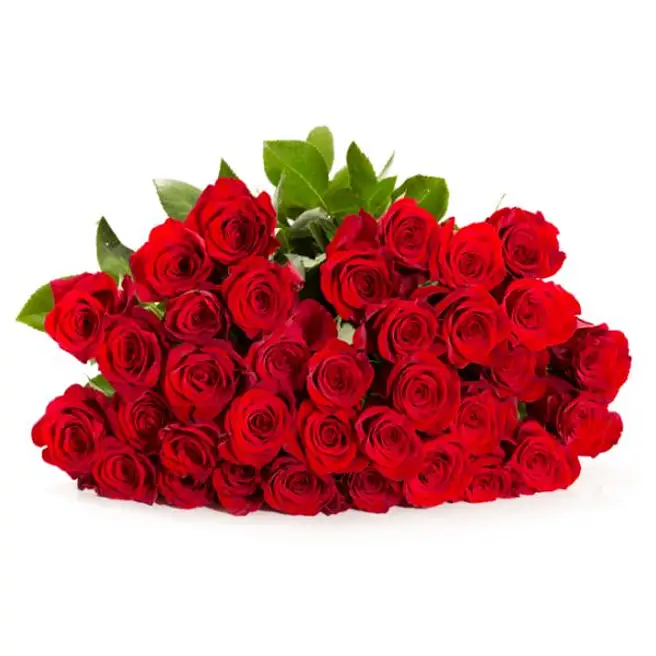 Magical 40 Red Roses Arrangement germany | Gift Magical 40 Red Roses ...