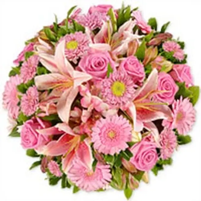 Sweet Sentiments isr