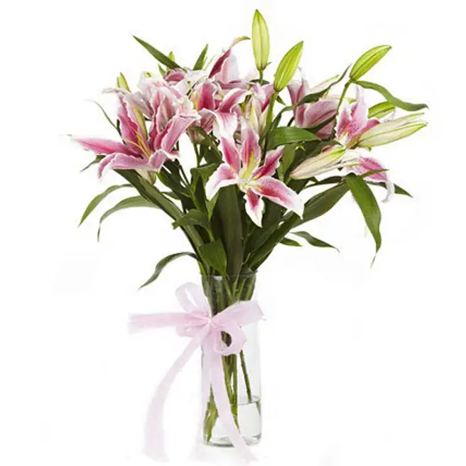 Buy/Send Charming 6 Pink Oriental Lilies Glass Vase Online- FNP