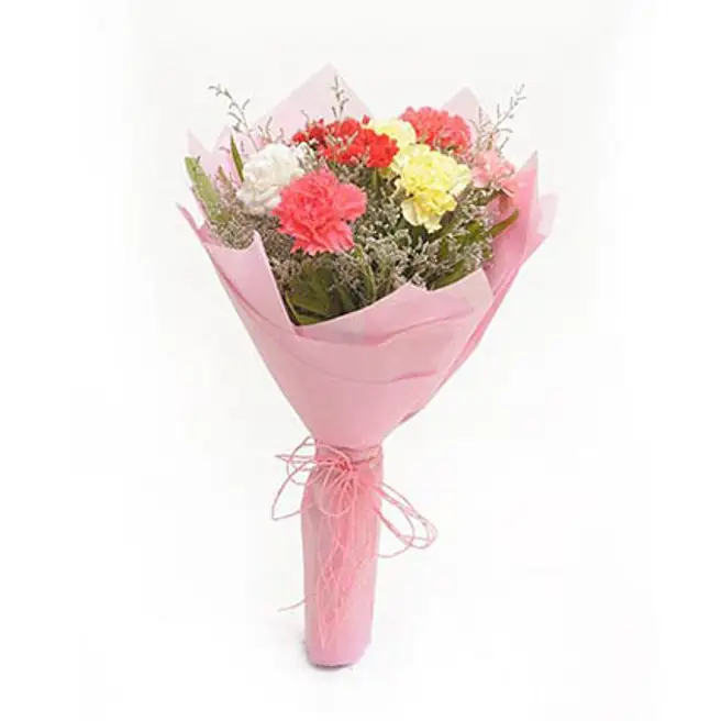 Send Carnations Buy/Send Multicolored Carnations Online- FNP