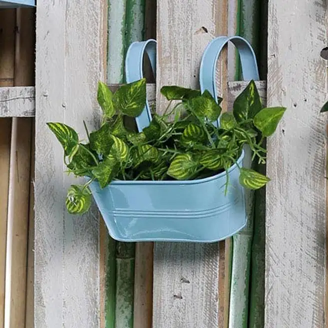 Buy/Send Blue Oval Railing Planter Online- FNP