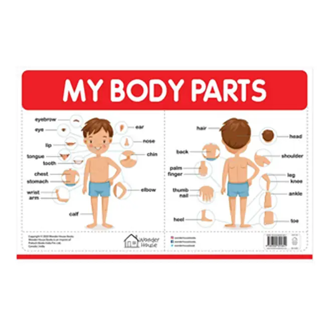Buy/Send My First Early Learning Educational Poster- My Body Parts ...