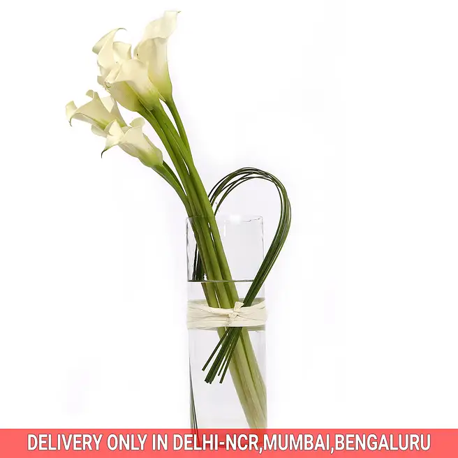 Buy/Send White Calla Lilies in Vase Online- FNP