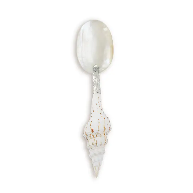 Send Spoons Buy/Send Shell Spoons - Set of 2 Online- FNP