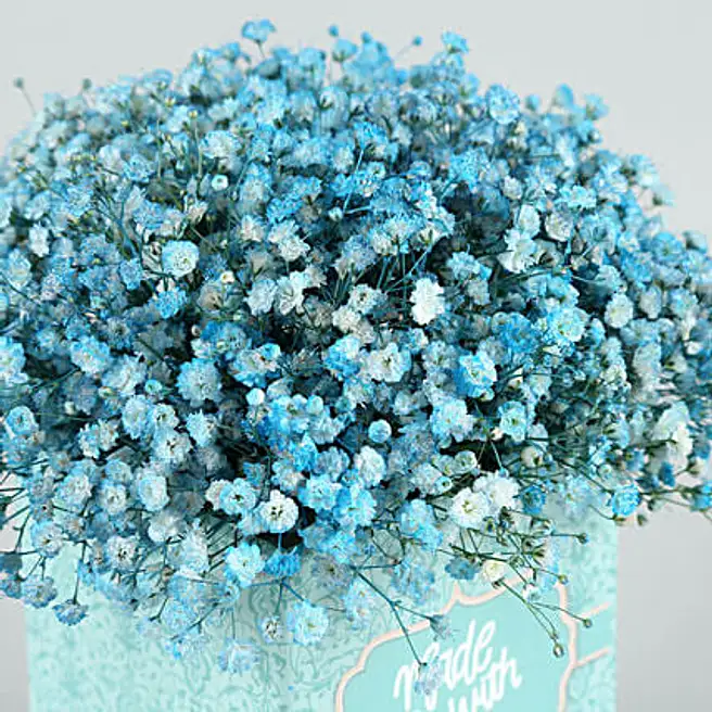 White Gypsophila Made With Love Blue Box gypsophila ジプソフィラ 
