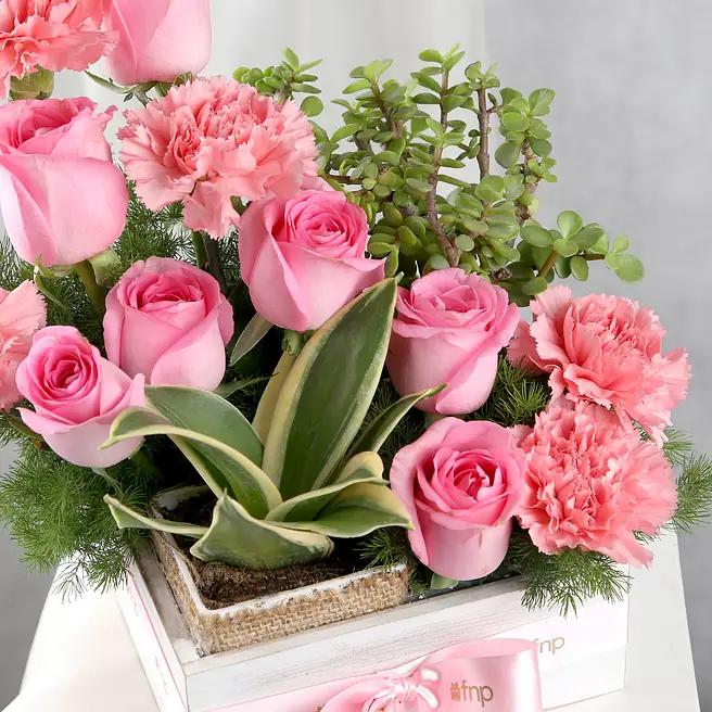Buy/Send Blooming Jade and Rosy Bliss Online- FNP