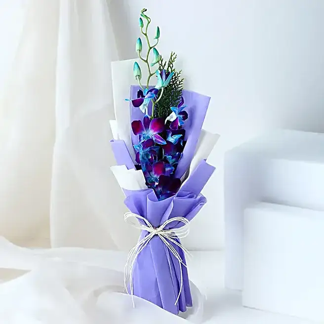 enchanted-blue-orchid-