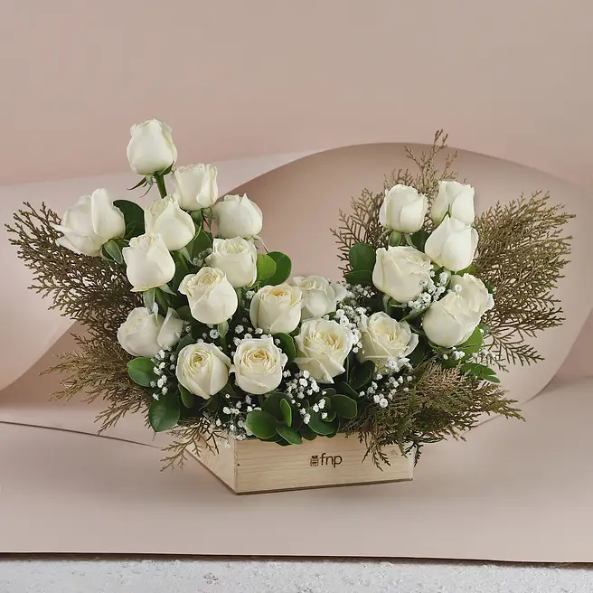 Send White Roses Buy/Send Pure White Roses Online- FNP