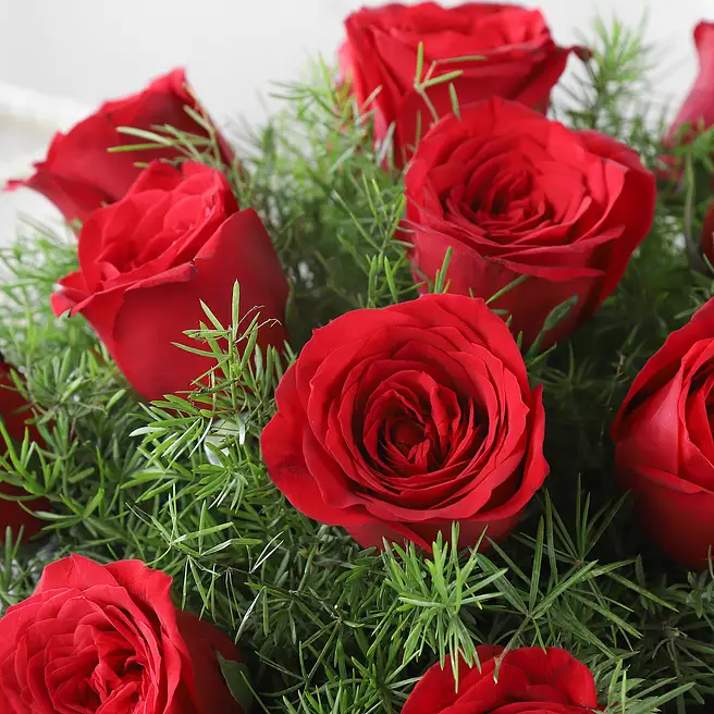 Buy/Send 15 Red Roses Arrangement Online- FNP