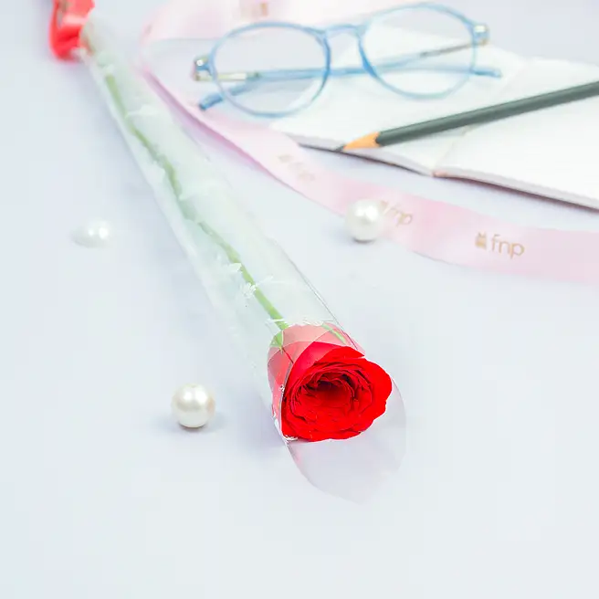 Buy/Send Rose of Reverence For Teacher Online- FNP