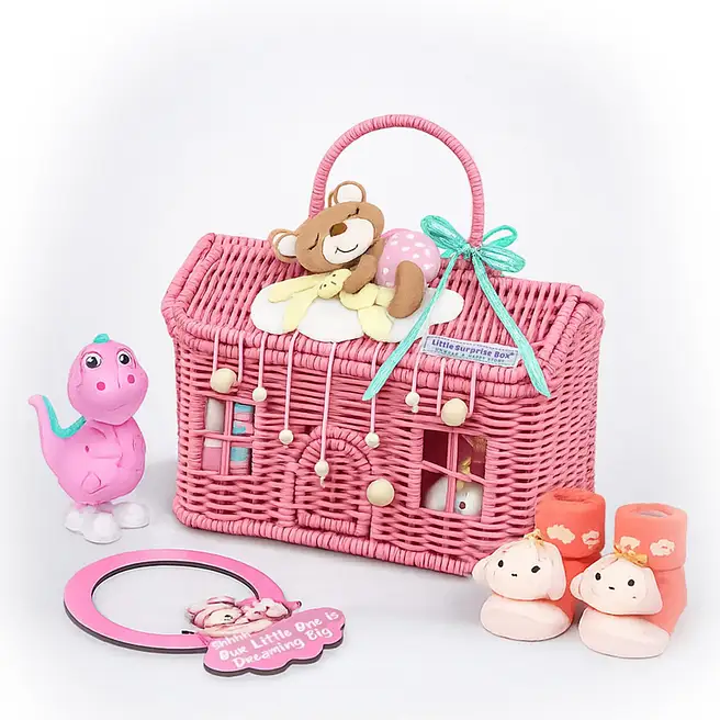 Pink Teddy Welcome Home Newborn Gift Hamper for Baby Girl