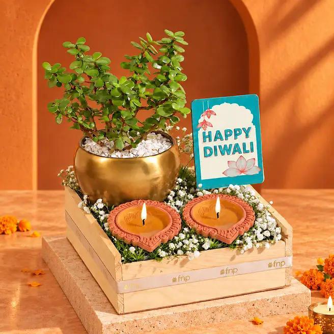 Diwali Jade N Fridge Magnet Gift