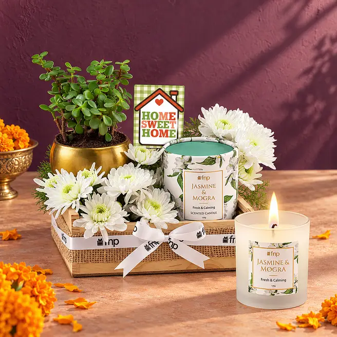 Green Jade Housewarming Gift Set