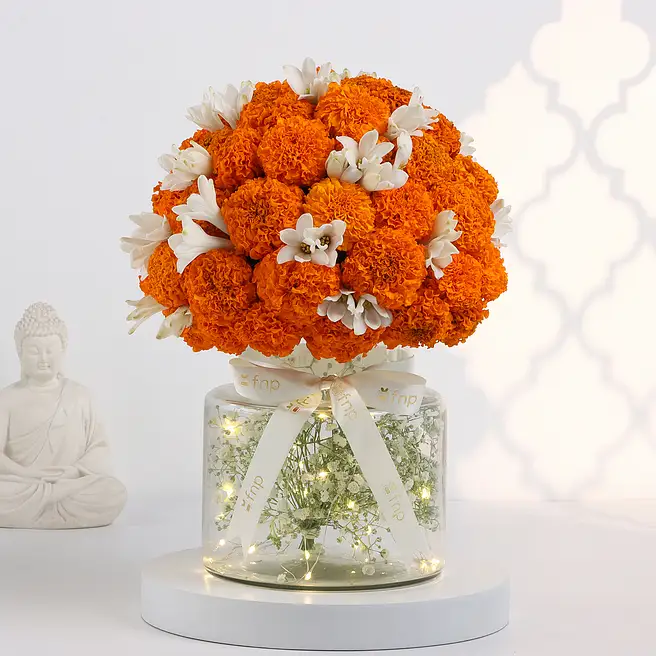 The Marigold Glow