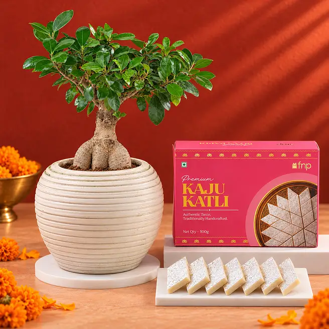 Roots of Prosperity Diwali Gift