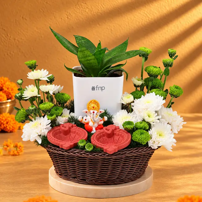 Blessings N Greenery Diwali Hamper