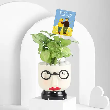Heartfelt Wife Appreciation Plant Gift Set-picture-37