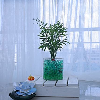 Mushroom N Palm Table Decor-picture-30