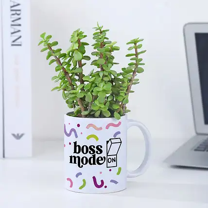 Boss Day Jade Plant n Coffee Mug Set-picture-24