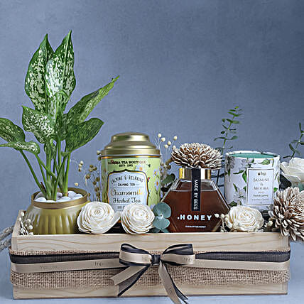 Natural Foliage n Aromatic Wellness Hamper