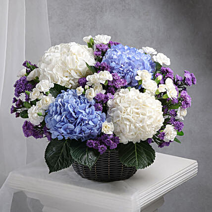 Whisper of Hydrangeas Arrangement