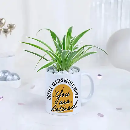 Spider Plant Gift for Retirement-picture-28