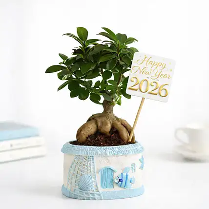 Tranquil New Year Green Decor Gift Set-picture-23