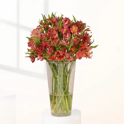 Gentle Love Valentine Pink Bloom Jar-picture-46