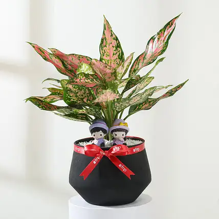 Eternal Love Planter-picture-45