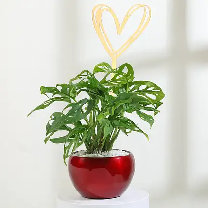 Love in Leaves-picture-15