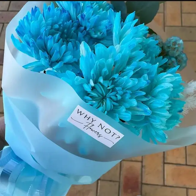 Blue Chrysanthemes Lovers