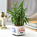 Jade Plant Birthday Gift for Her