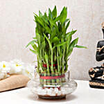 Three layer bamboo in a round glass potpourri vase with white pebbles
