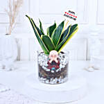 Milestone Bliss Sansevieria Elegance