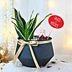 Heartsong Sansevieria Harmony