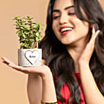 Jade Plant Abundance