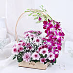 Royal Orchid with Daisy Embrace