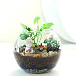 Jade N Syngonium Plant Potpouri Bowl