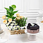 Rosy Blooms N Choco Cake Combo