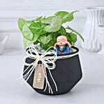 Elegant Syngonium Display